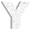 YouCat Գիրք